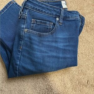 Everlane Skinny Jeans